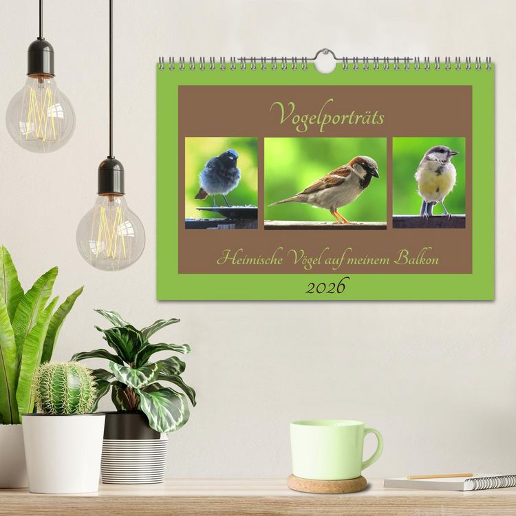 Produktbild: Vogelportr&auml;ts - Heimische V&ouml;gel auf meinem Balkon (Wandkalender 2026 DIN A4 quer), CALVENDO Monatskalender