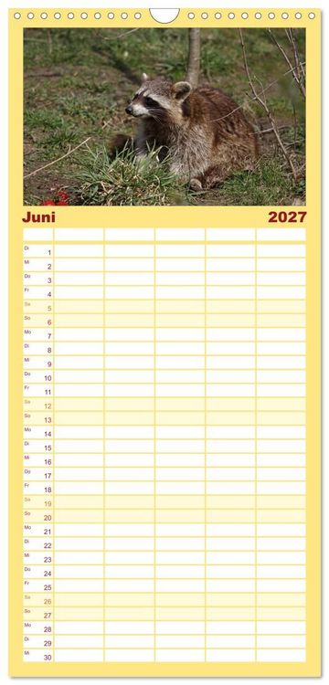 Produktbild: Familienplaner 2027 - Waschb&auml;ren mit 5 Spalten (Wandkalender, 21 x 45 cm) CALVENDO