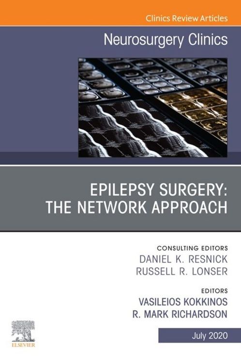 Produktbild: Epilepsy Surgery: The Network Approach, An Issue of Neurosurgery Clinics of North America, E-Book