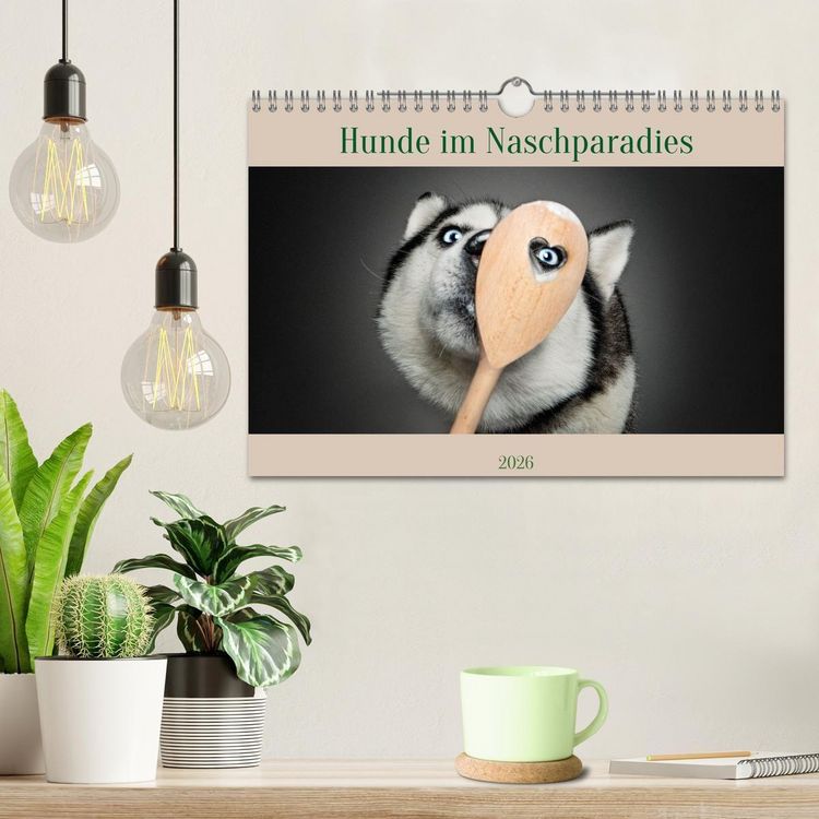 Produktbild: Hunde im Naschparadies (Wandkalender 2026 DIN A4 quer), CALVENDO Monatskalender