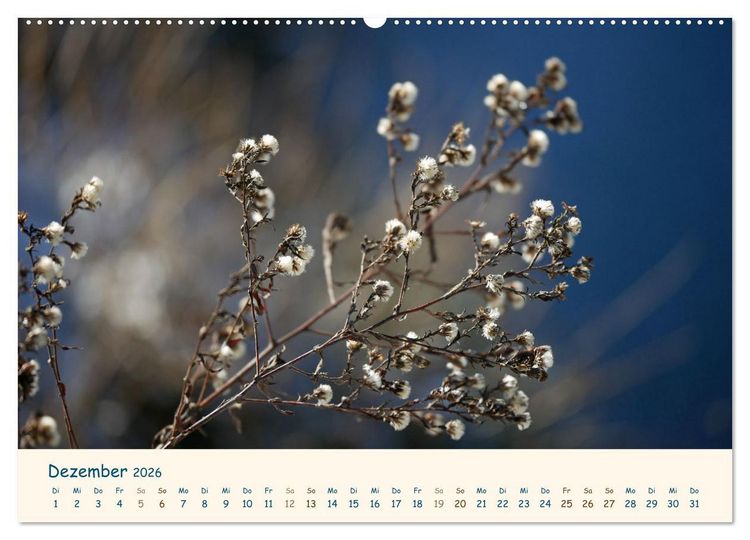 Produktbild: Naturwunder Bl&uuml;ten (hochwertiger Premium Wandkalender 2026 DIN A2 quer), Kunstdruck in Hochglanz