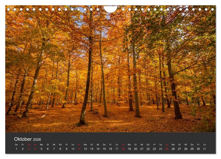 Produktbild: Mecklenburg-Vorpommern (Wandkalender 2026 DIN A4 quer), CALVENDO Monatskalender