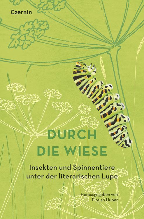 Produktbild: Durch die Wiese