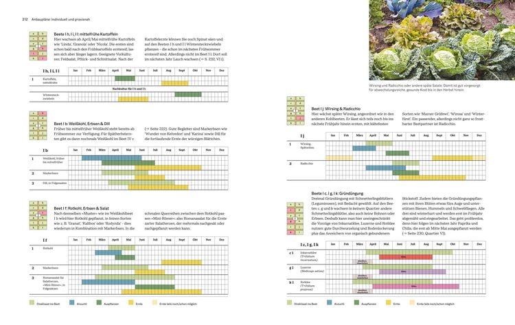 Produktbild: Das gro&szlig;e GU Handbuch Gem&uuml;se-Anbauplanung