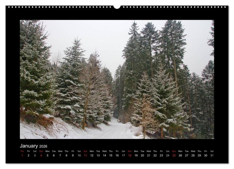 Produktbild: The Black Forest - UK Version (High Quality Premium Wall Calendar 2026 DIN A2 landscape),CALVENDO 12 Month Wall Calendar