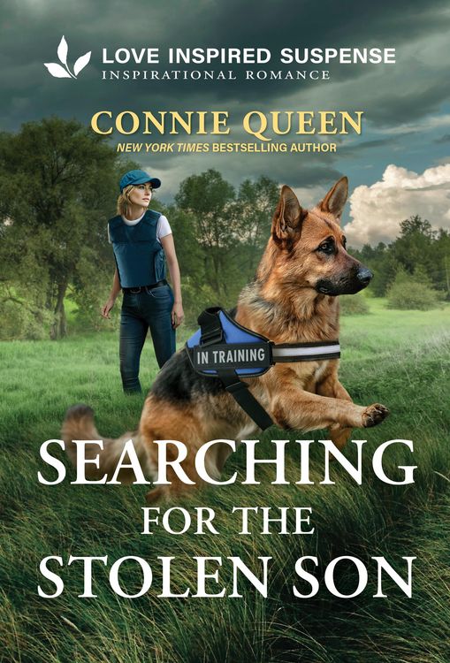 Produktbild: Searching for the Stolen Son