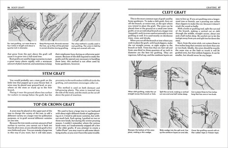 Produktbild: Secrets of Plant Propagation