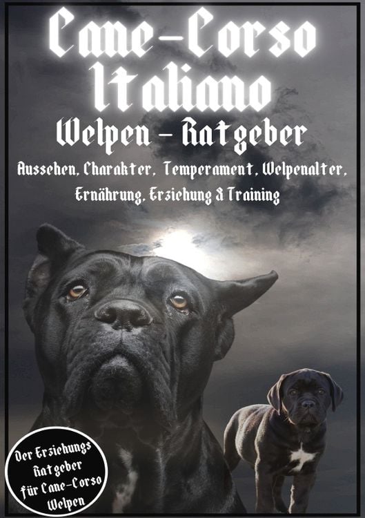 Produktbild: Cane Corso Italiano - Ratgeber