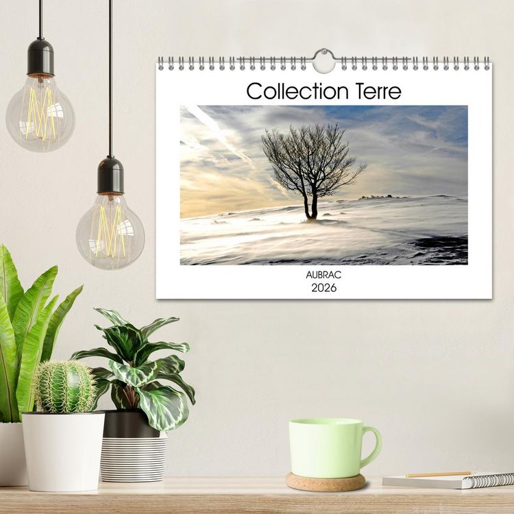 Produktbild: Collection Terre AUBRAC (Calendrier mural 2026 DIN A4 vertical), CALVENDO calendrier mensuel
