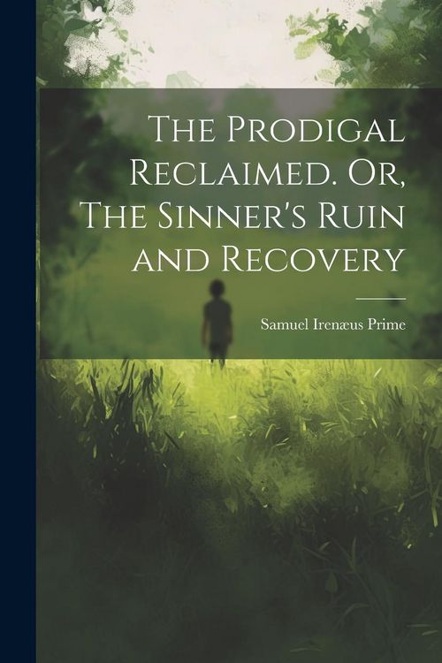 Produktbild: The Prodigal Reclaimed. Or, The Sinner's Ruin and Recovery