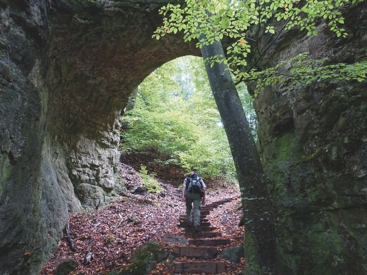 Produktbild: Zeit zum Wandern Altm&uuml;hltal und Fr&auml;nkisches Seenland