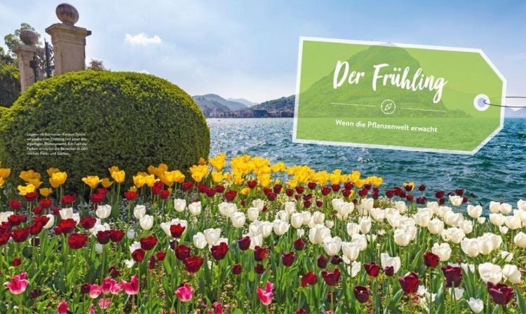 Produktbild: 52 x Natur pur