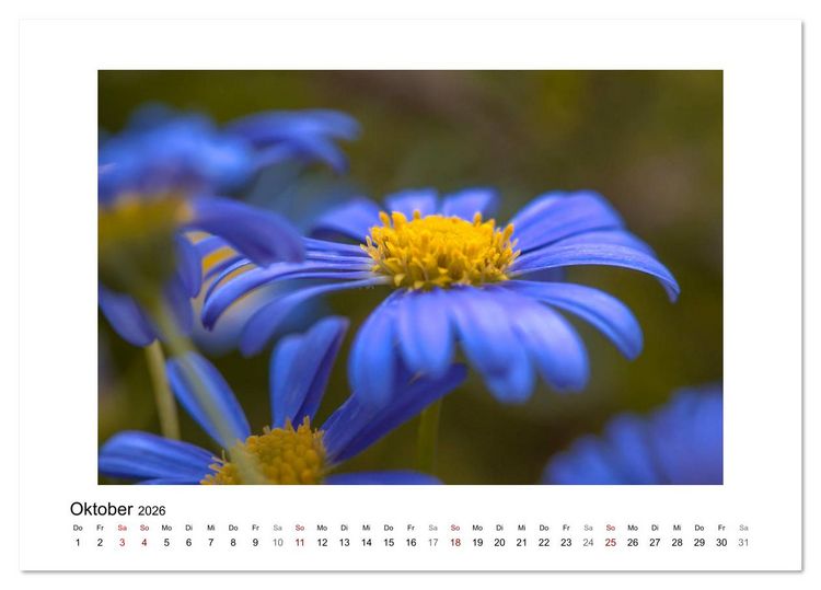 Produktbild: Blauer Bl&uuml;tentraum (Tischkalender 2026 DIN A5 quer), CALVENDO Monatskalender