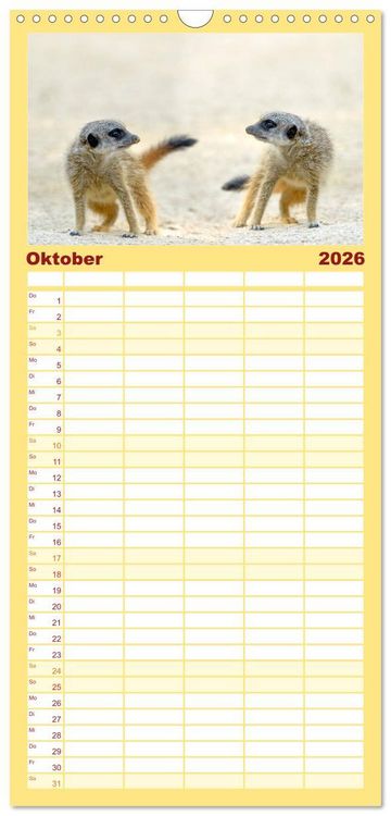 Produktbild: Familienplaner 2026 - Lustige Erdm&auml;nnchen mit 5 Spalten (Wandkalender, 21 x 45 cm) CALVENDO