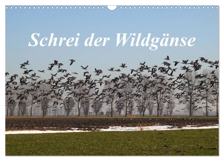 Produktbild: Schrei der Wildg&auml;nse (Wandkalender 2026 DIN A3 quer), CALVENDO Monatskalender