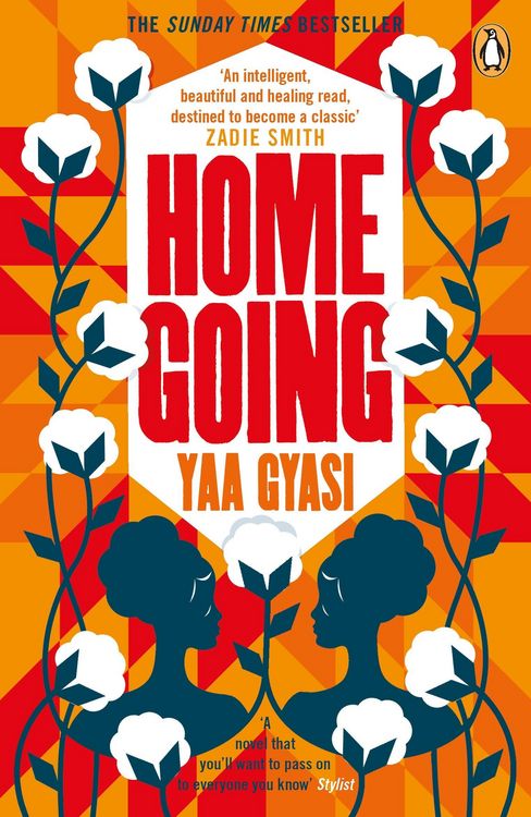 Produktbild: Homegoing
