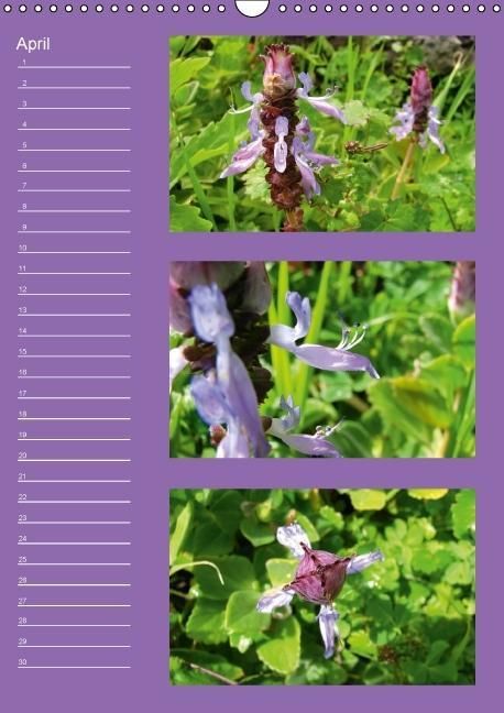 Produktbild: Zauberwelt der Blumen - Eiskristalle & Wasserperlen / Geburtstagskalender (Wandkalender immerw&auml;hrend DIN A3 hoch)