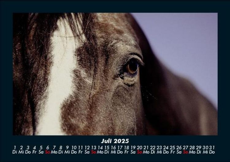 Produktbild: Die Welt der Pferde 2025 Fotokalender DIN A5