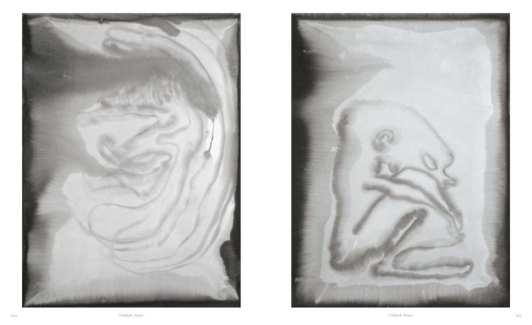 Produktbild: Camille Henrot