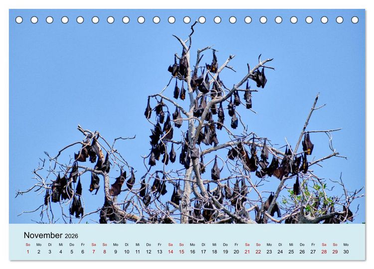 Produktbild: Indonesien - Die kleinen Sundainseln (Tischkalender 2026 DIN A5 quer), CALVENDO Monatskalender