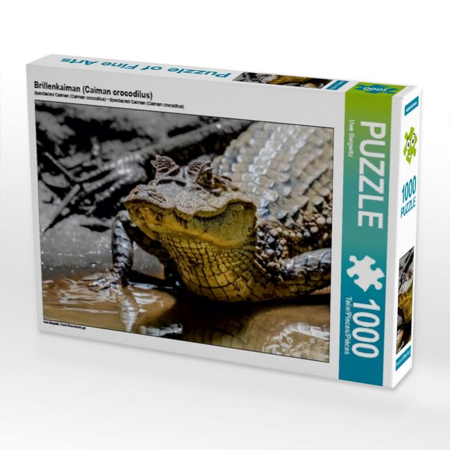 Produktbild: Brillenkaiman (Caiman crocodilus) (Puzzle)