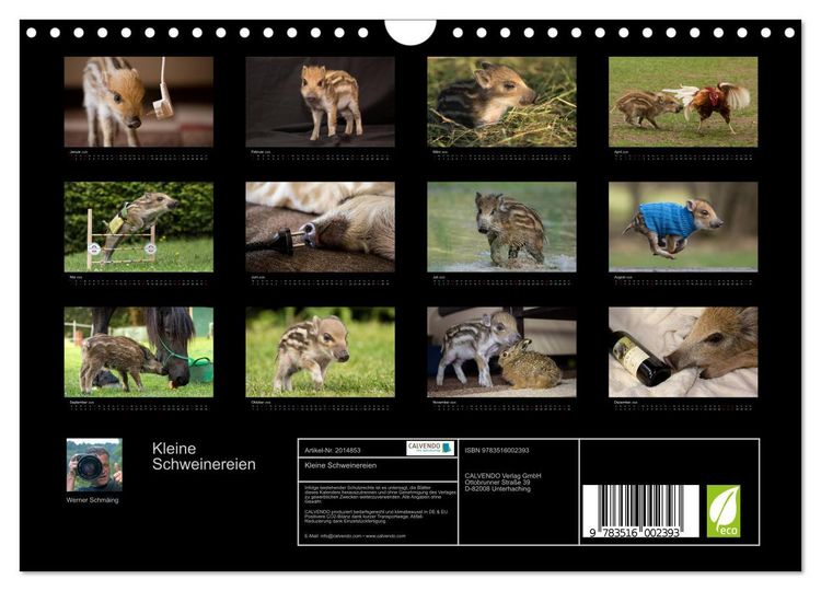 Produktbild: Kleine Schweinereien (Wandkalender 2026 DIN A4 quer), CALVENDO Monatskalender