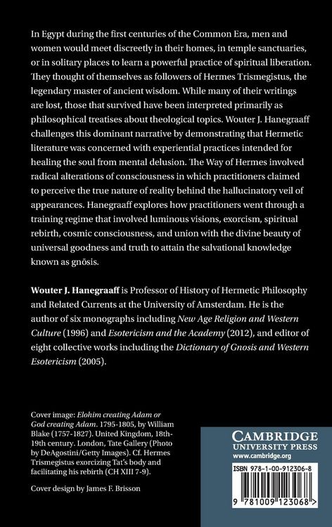 Produktbild: Hermetic Spirituality and the Historical Imagination