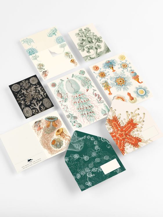 Produktbild: Art Forms in Nature