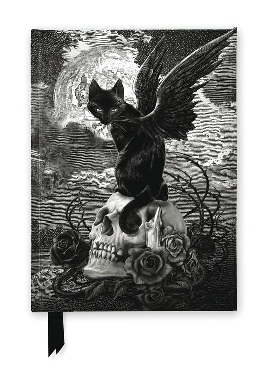 Produktbild: Premium Notizbuch DIN A5: Alchemie, Die neun Leben von Poe