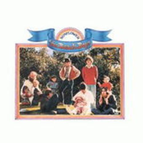Produktbild: Beach Boys, T: Sun Flower/Surf's Up