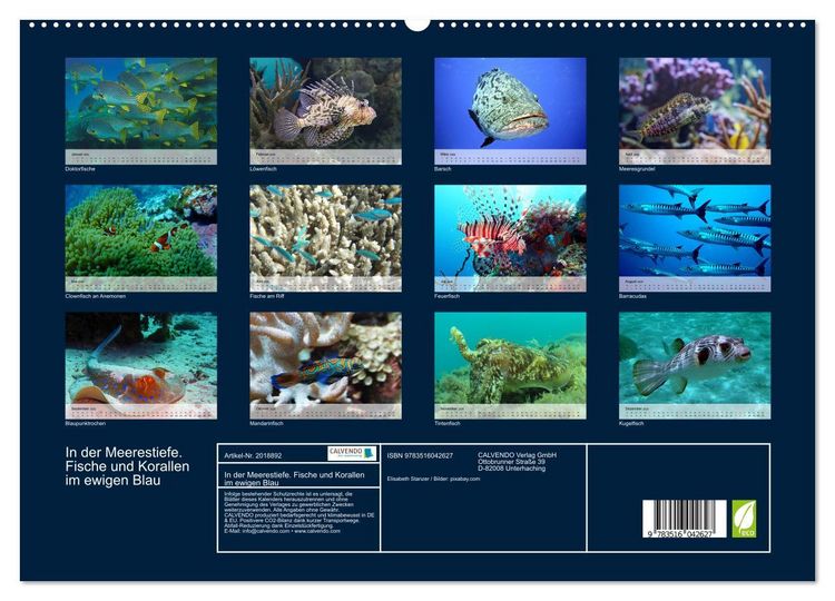 Produktbild: In der Meerestiefe. Fische und Korallen im ewigen Blau (hochwertiger Premium Wandkalender 2026 DIN A2 quer), Kunstdruck in Hochglanz