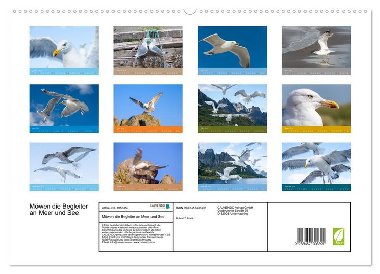 Produktbild: M&ouml;wen die Begleiter an Meer und See (hochwertiger Premium Wandkalender 2026 DIN A2 quer), Kunstdruck in Hochglanz