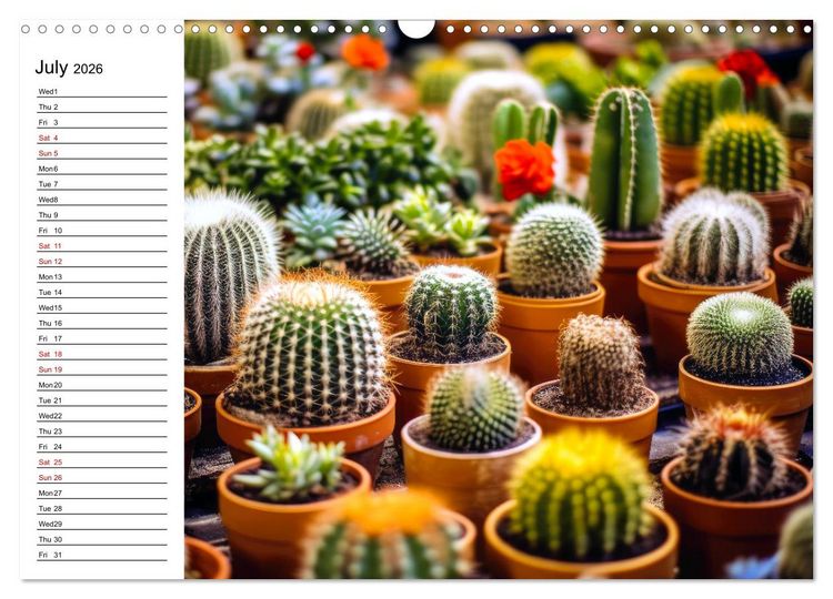 Produktbild: Cacti Wonderland (Wall Calendar 2026 DIN A3 landscape), CALVENDO 12 Month Wall Calendar