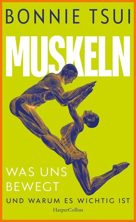 Produktbild: Muskeln. Was uns bewegt - und warum es wichtig ist