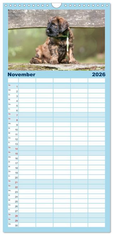 Produktbild: Familienplaner 2026 - Briardbabys in ihren ersten Wochen mit 5 Spalten (Wandkalender, 21 x 45 cm) CALVENDO
