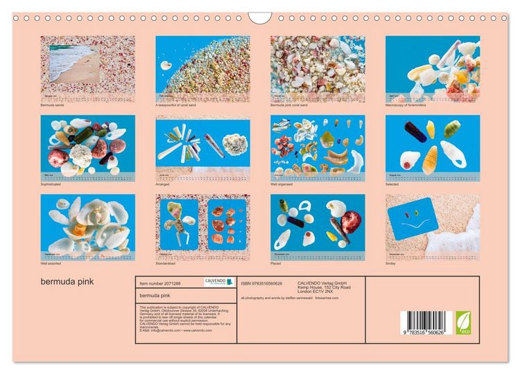 Produktbild: bermuda pink (Wall Calendar 2026 DIN A3 landscape), CALVENDO 12 Month Wall Calendar