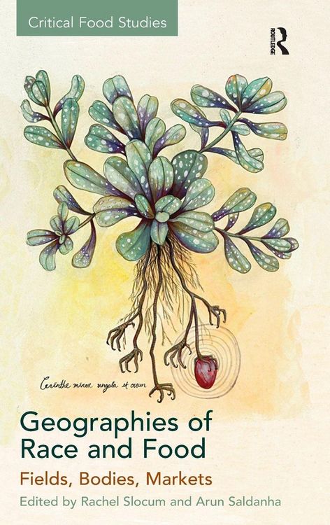 Produktbild: Geographies of Race and Food