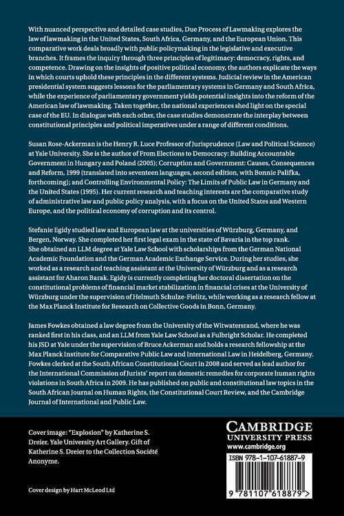 Produktbild: Due Process of Lawmaking