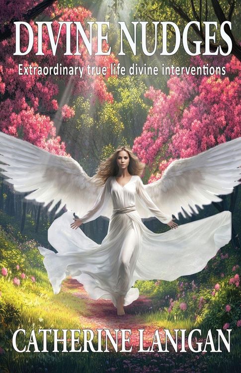 Produktbild: Divine Nudges