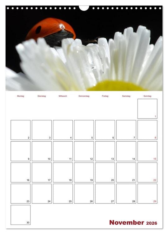Produktbild: Marienk&auml;fergl&uuml;ck (Wandkalender 2026 DIN A3 hoch), CALVENDO Monatskalender
