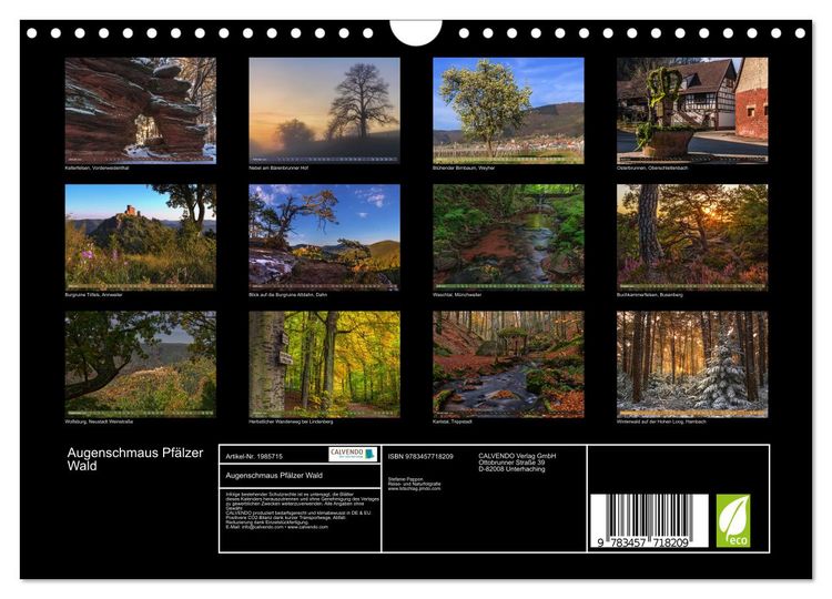 Produktbild: Augenschmaus Pf&auml;lzer Wald (Wandkalender 2026 DIN A4 quer), CALVENDO Monatskalender