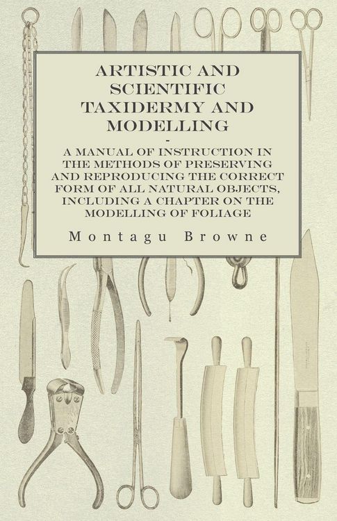 Produktbild: Artistic and Scientific Taxidermy and Modelling - A Manual of Instruction in the Methods of Preserving and Reproducing the Correct Form of All Natural Objects, Including a Chapter on the Modelling of Foliage