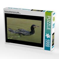 CALVENDO Puzzle Rosakakadu 1000 Teile - 64x48 Cm, Premium-Qualität Aus Europa