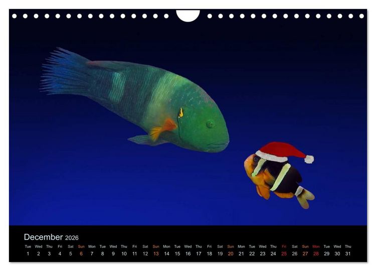 Produktbild: Water Dreams-journey through the sea (Wall Calendar 2026 DIN A4 landscape), CALVENDO 12 Month Wall Calendar