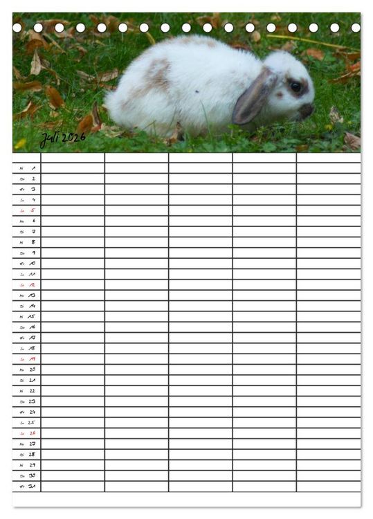 Produktbild: Meerschweinchen und Kaninchen Familienplaner (Tischkalender 2026 DIN A5 hoch), CALVENDO Monatskalender