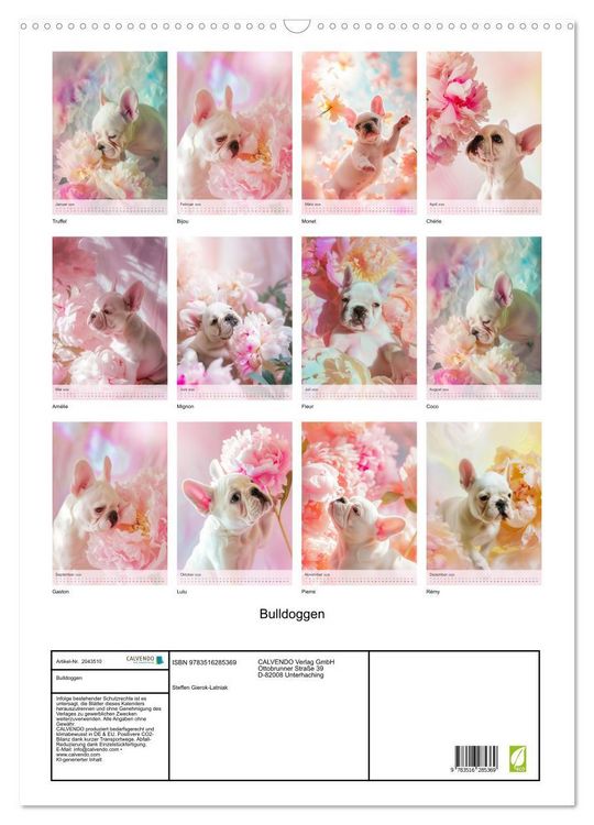Produktbild: Bulldoggen (Wandkalender 2026 DIN A2 hoch), CALVENDO Monatskalender