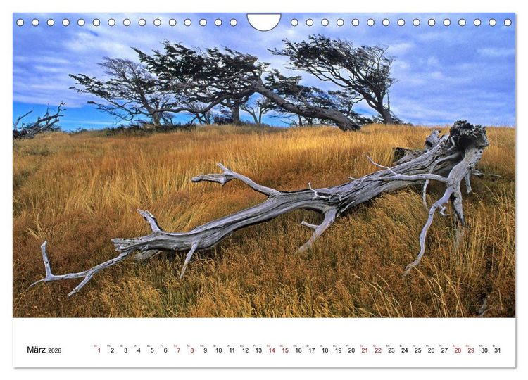 Produktbild: Faszinierendes Patagonien (Wandkalender 2026 DIN A4 quer), CALVENDO Monatskalender