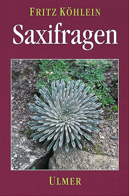 Produktbild: Saxifragen