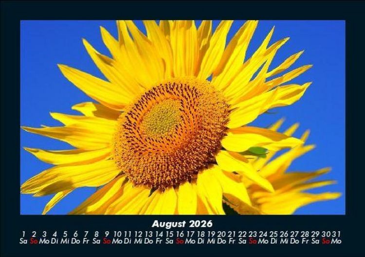 Produktbild: Blumentr&auml;ume 2026 Fotokalender DIN A5
