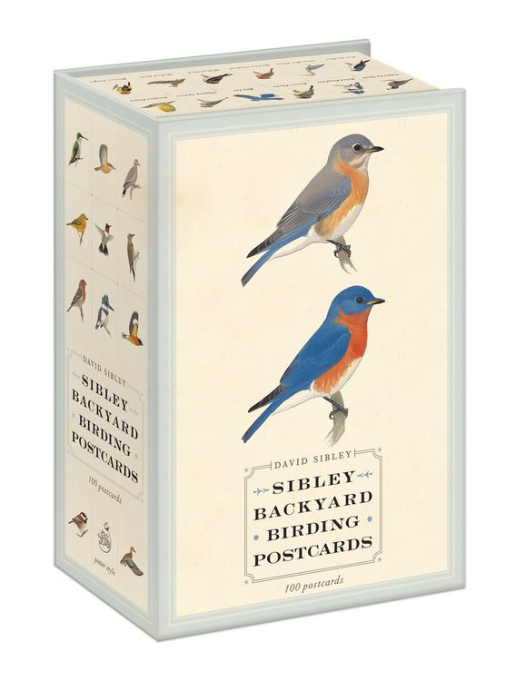 Produktbild: Sibley Backyard Birding Postcards